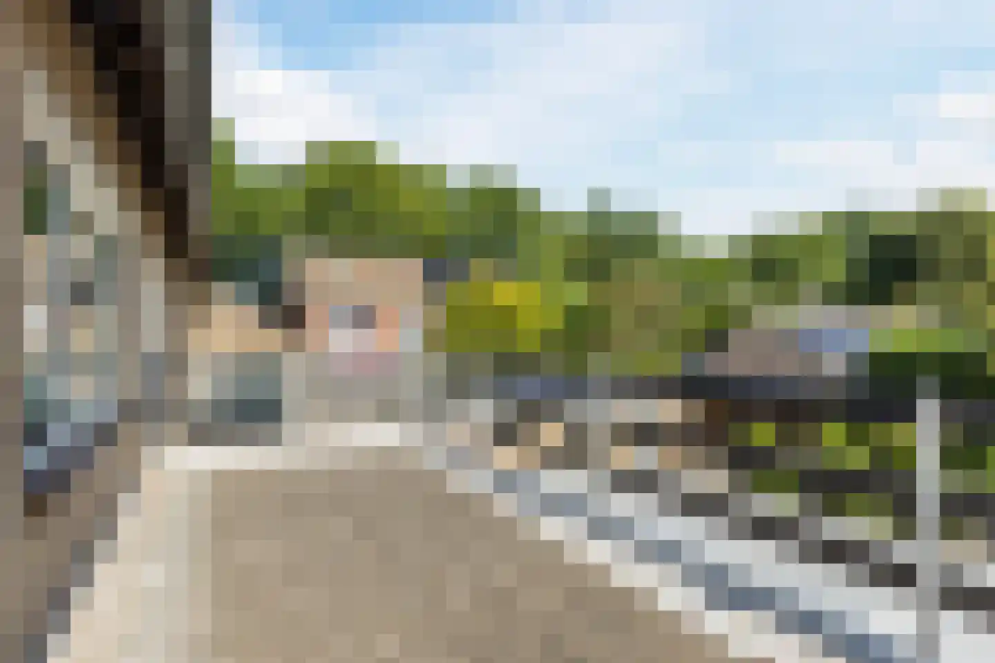 Lupinestraat 3 Berkel-Enschot thumbnail 22