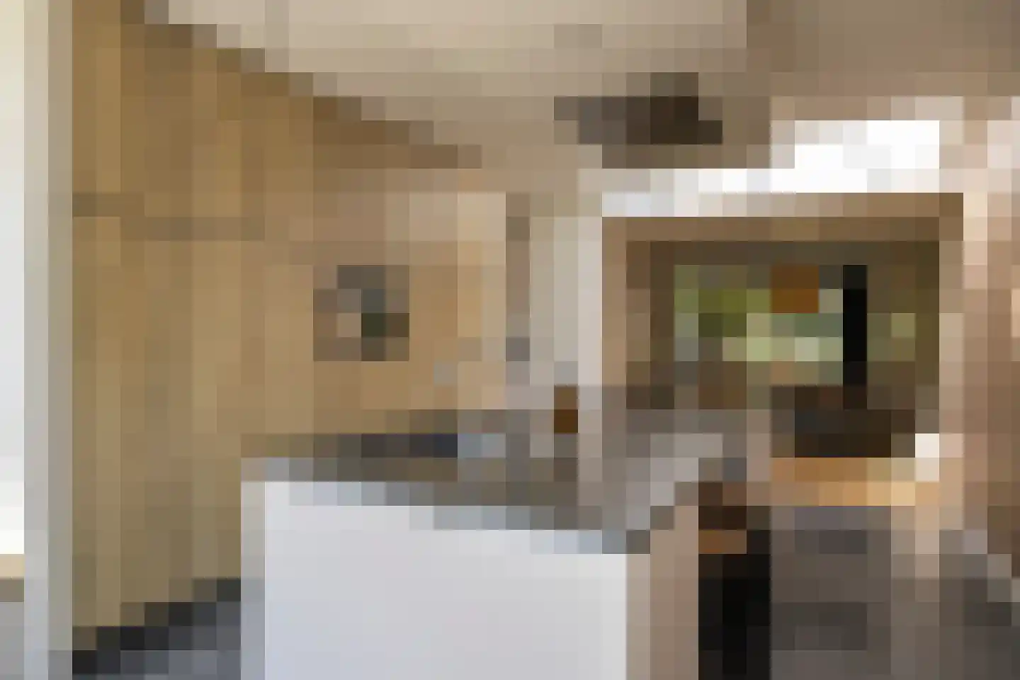 Lupinestraat 36 Riethoven thumbnail 15