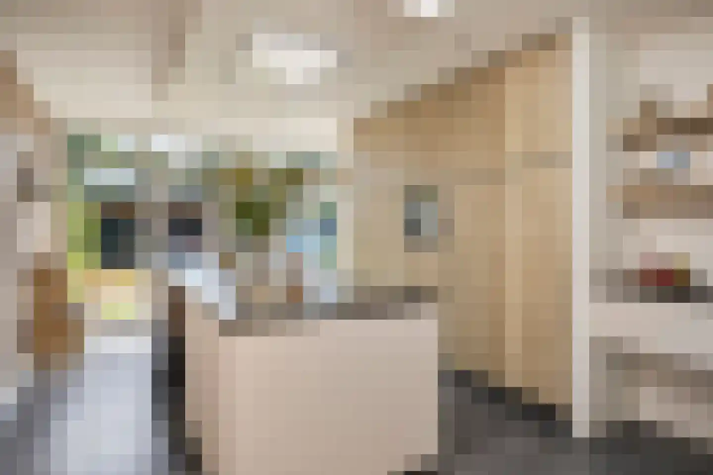 Lupinestraat 36 Riethoven thumbnail 16