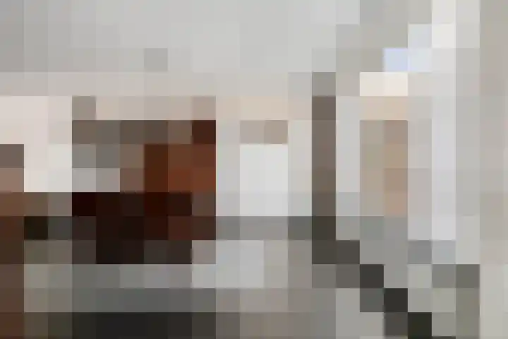 Lupinestraat 39 Riethoven thumbnail 19