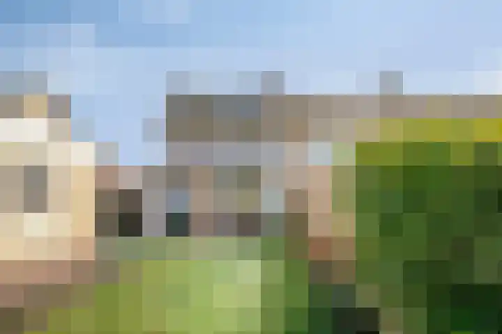 Lupinestraat 39 Riethoven thumbnail 31