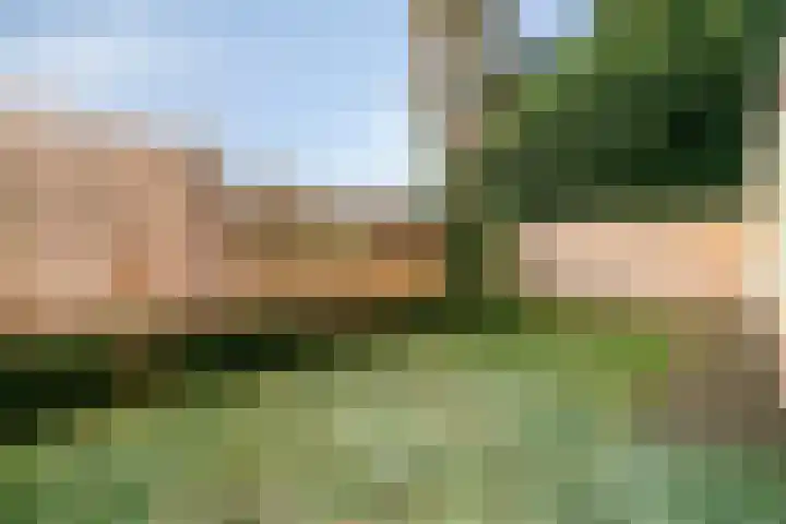 Lupinestraat 39 Riethoven thumbnail 32