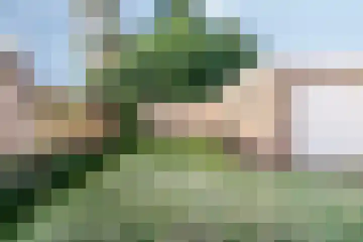 Lupinestraat 39 Riethoven thumbnail 33