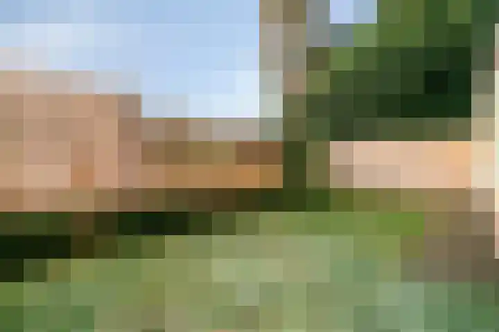 Lupinestraat 39 Riethoven thumbnail 5