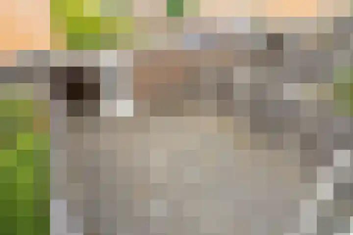 Lupinestraat 69 Capelle aan den IJssel thumbnail 11