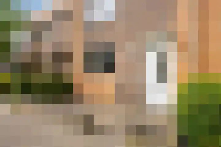 Lupinestraat 69 Capelle aan den IJssel thumbnail 22