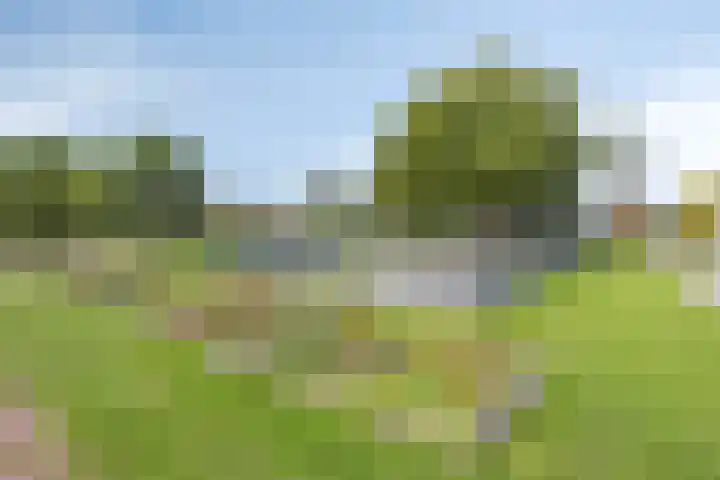 Lupinestraat 69 Capelle aan den IJssel thumbnail 26