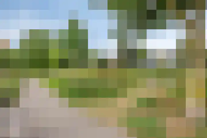 Lupinestraat 69 Capelle aan den IJssel thumbnail 27
