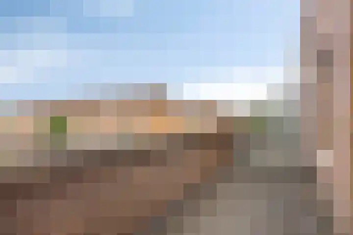 Lupinestraat 69 Capelle aan den IJssel thumbnail 9