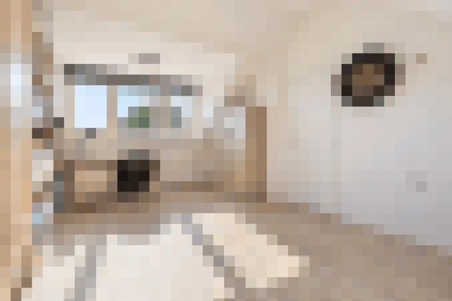 Lupinestraat 9 Roelofarendsveen thumbnail 33