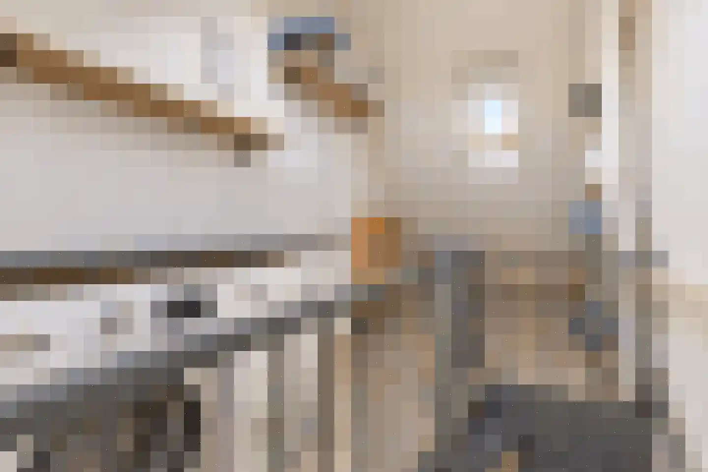 Lupinestraat 9 Roelofarendsveen thumbnail 36