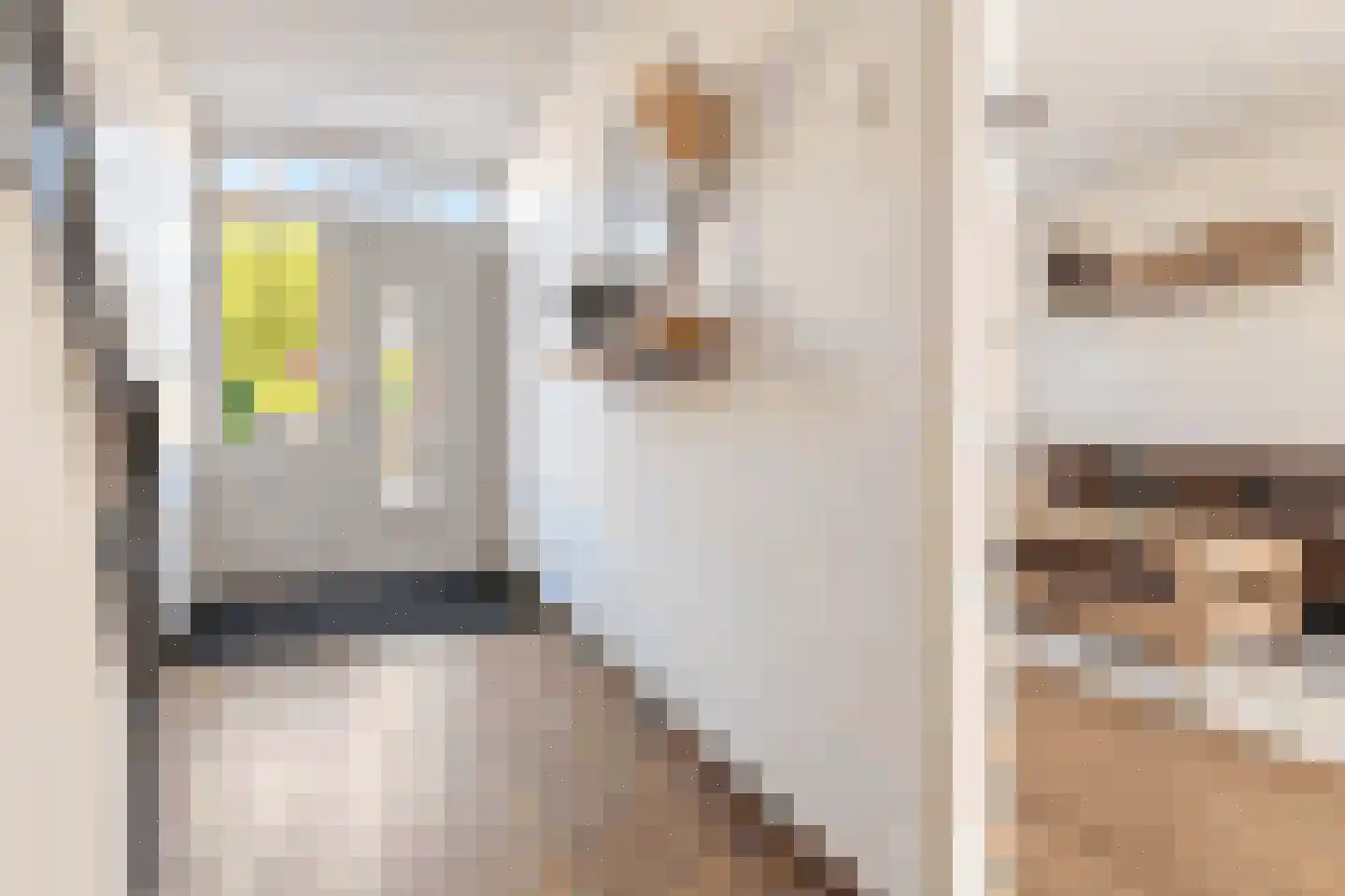Lupinestraat 9 Roelofarendsveen thumbnail 9