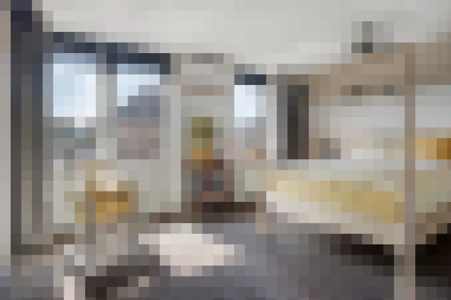 Lupinestraat 95 Capelle aan den IJssel thumbnail 14
