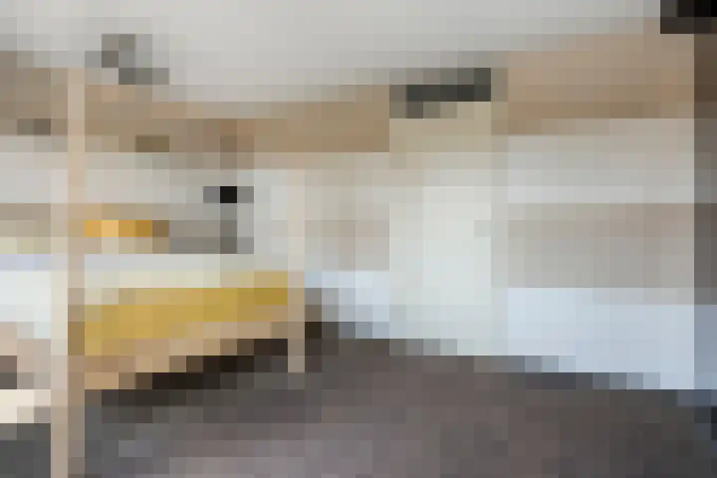 Lupinestraat 95 Capelle aan den IJssel thumbnail 15
