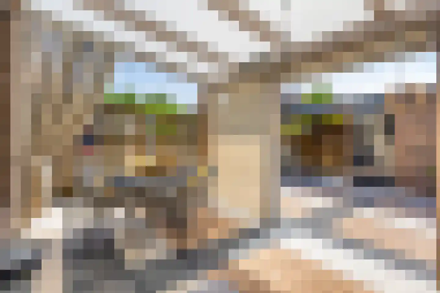 Lupinestraat 95 Capelle aan den IJssel thumbnail 24