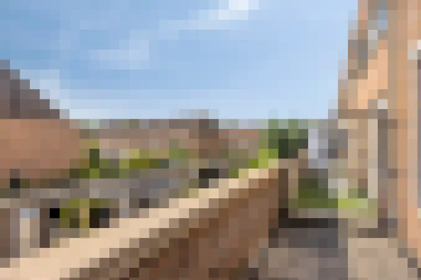 Lupinestraat 95 Capelle aan den IJssel thumbnail 26