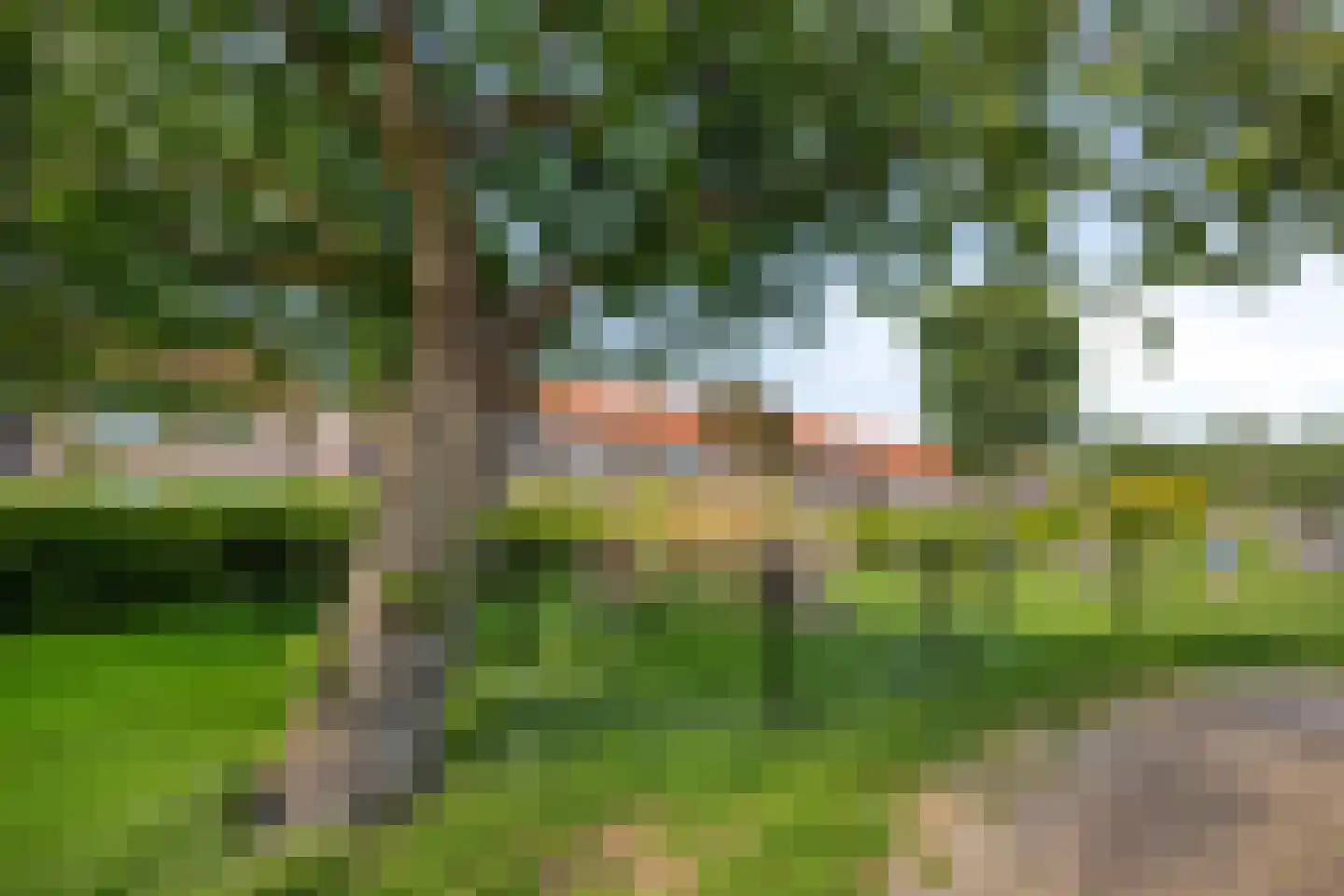 Lupinestraat 95 Capelle aan den IJssel thumbnail 29