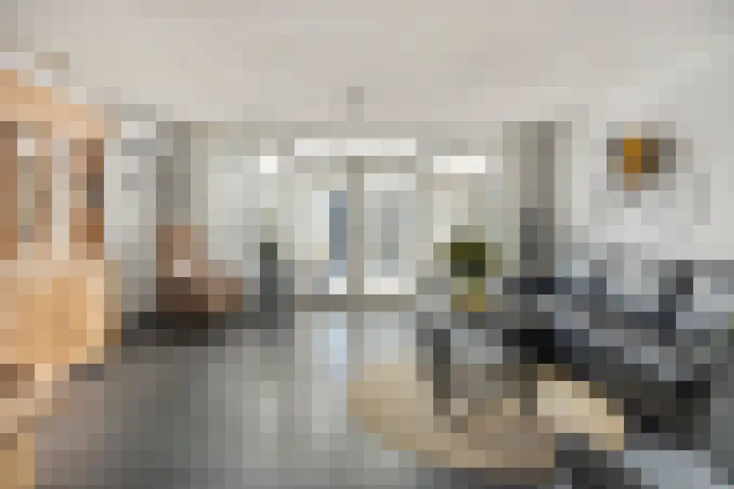 Lupinestraat 95 Capelle aan den IJssel thumbnail 7