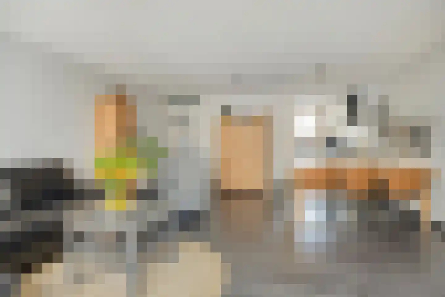 Lupinestraat 95 Capelle aan den IJssel thumbnail 8