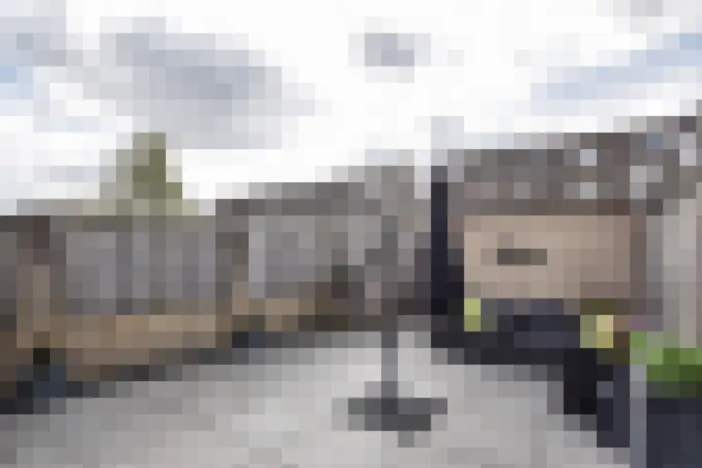 Lupinevallei 14 's-Hertogenbosch thumbnail 24