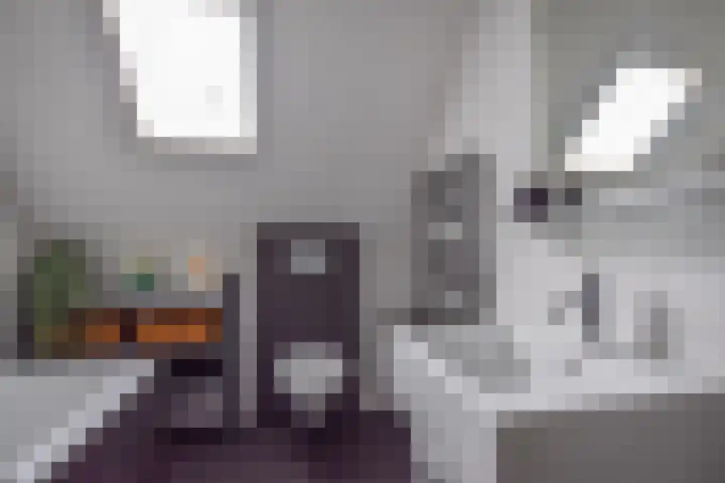 Lupinevallei 14 's-Hertogenbosch thumbnail 32