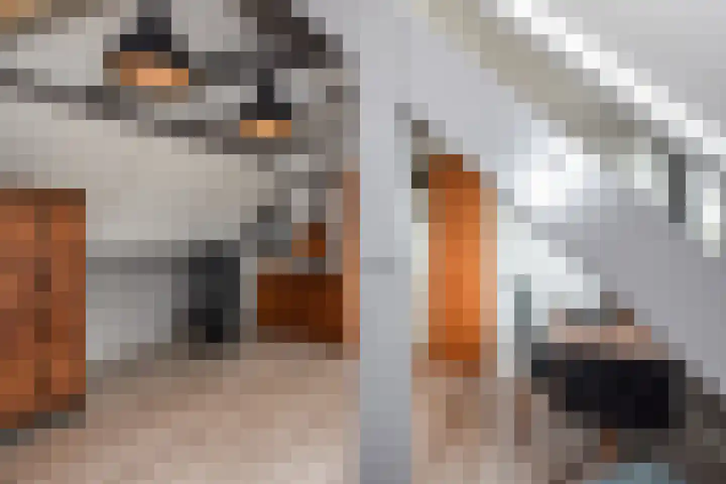 Lupinevallei 14 's-Hertogenbosch thumbnail 34