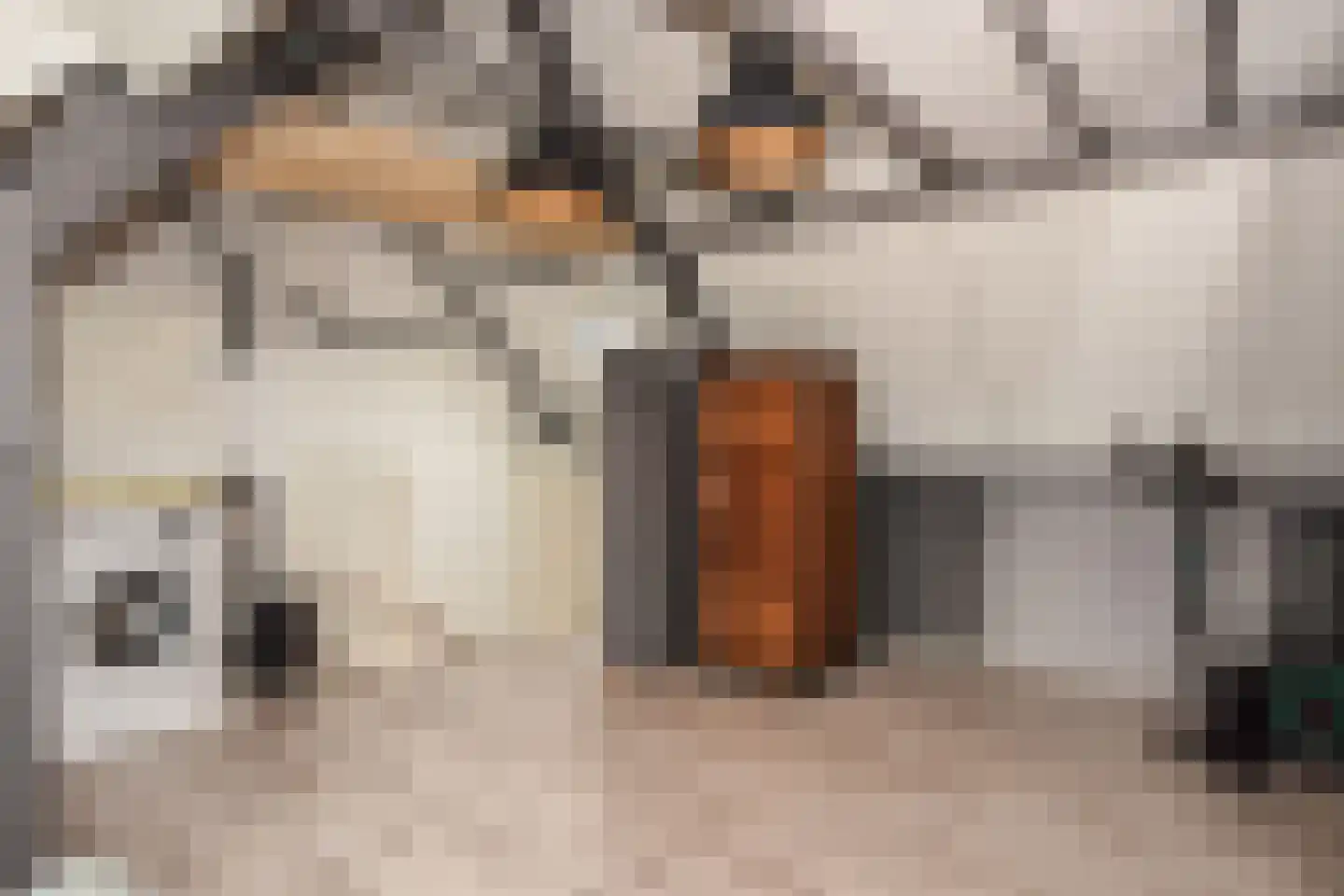 Lupinevallei 14 's-Hertogenbosch thumbnail 35