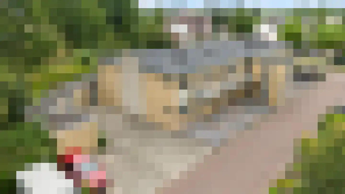 Lupineveld 10 Barneveld thumbnail 32