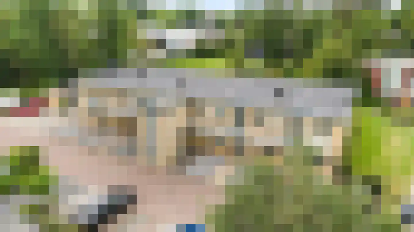 Lupineveld 10 Barneveld thumbnail 33