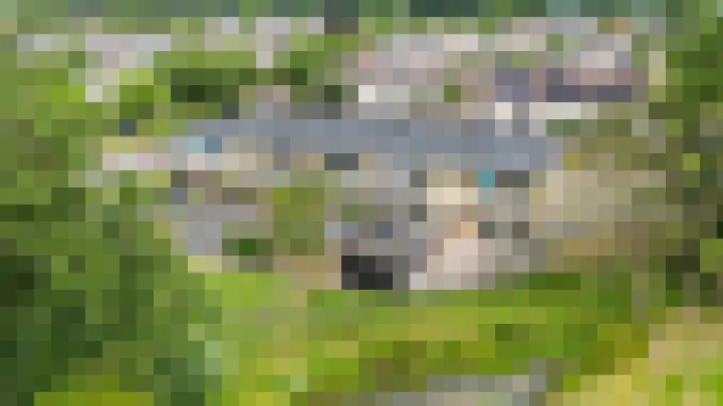 Lupineveld 10 Barneveld thumbnail 35
