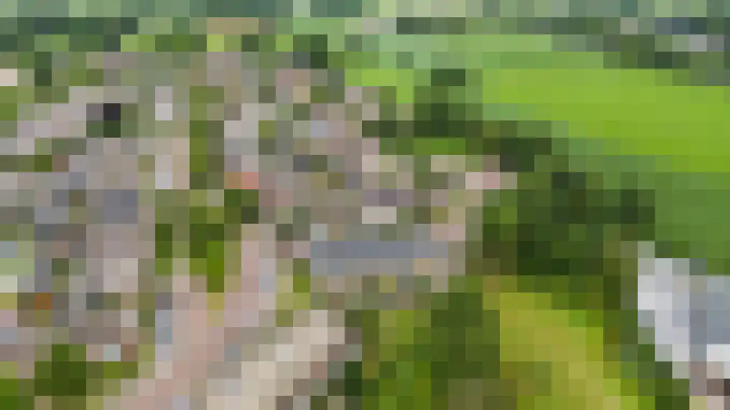 Lupineveld 10 Barneveld thumbnail 36