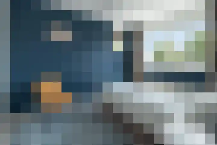 Lupineveld 12 Barneveld thumbnail 14