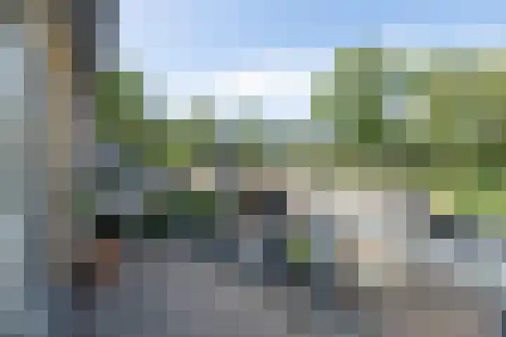 Lupineveld 12 Barneveld thumbnail 26