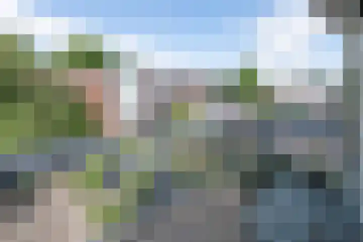 Lupineveld 12 Barneveld thumbnail 27