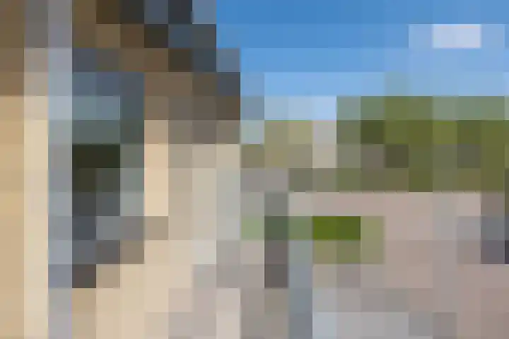 Lupineveld 12 Barneveld thumbnail 30