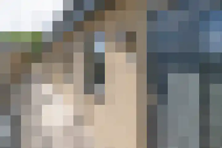 Lupineveld 12 Barneveld thumbnail 31