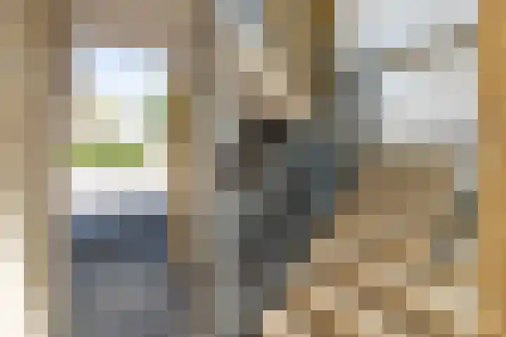 Lupineveld 12 Barneveld thumbnail 33
