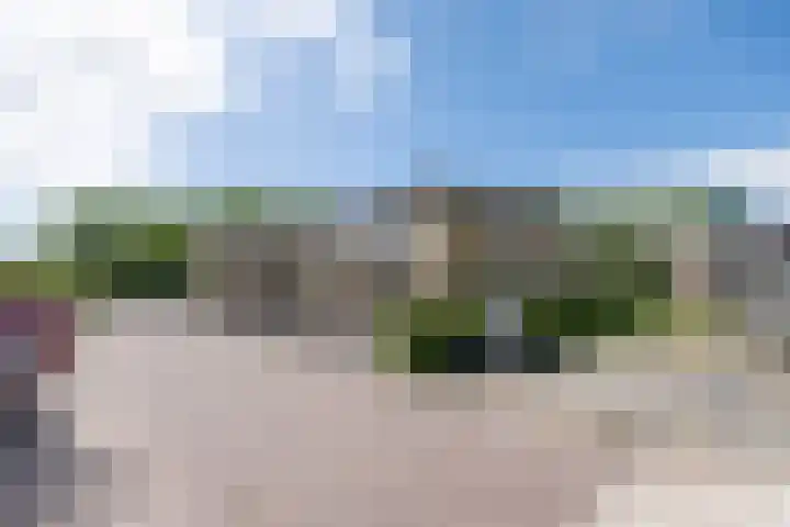 Lupineveld 12 Barneveld thumbnail 35