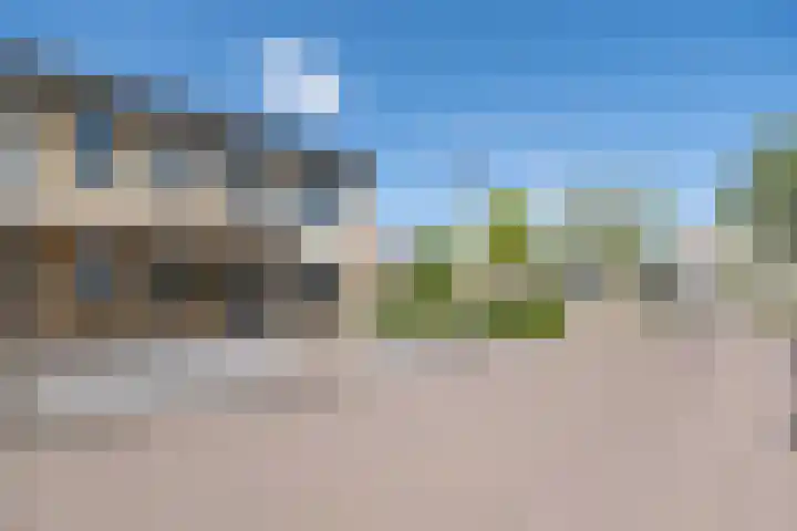 Lupineveld 12 Barneveld thumbnail 36