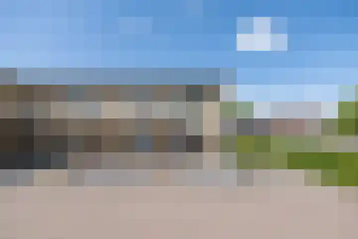 Lupineveld 12 Barneveld thumbnail 37