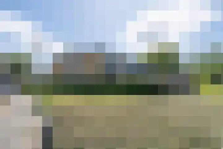 Lupineveld 12 Barneveld thumbnail 38