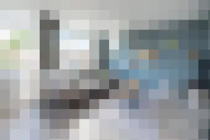 Lupineveld 12 Barneveld thumbnail 4