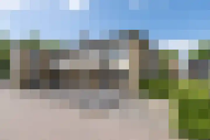 Lupineveld 12 Barneveld thumbnail 41