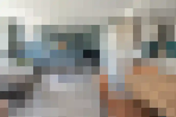 Lupineveld 12 Barneveld thumbnail 8