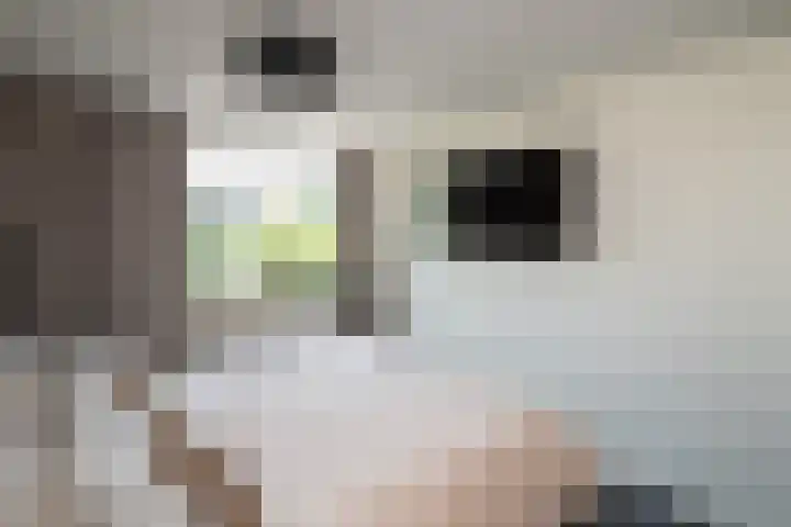 Lupineveld 12 Nieuwerkerk aan den IJssel thumbnail 14