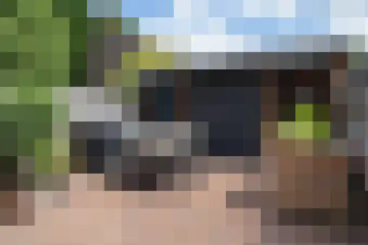 Lupineveld 12 Nieuwerkerk aan den IJssel thumbnail 22