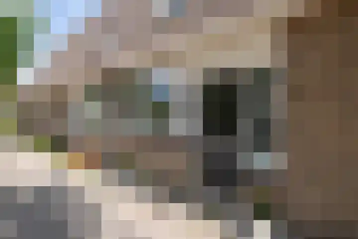 Lupineveld 12 Nieuwerkerk aan den IJssel thumbnail 26