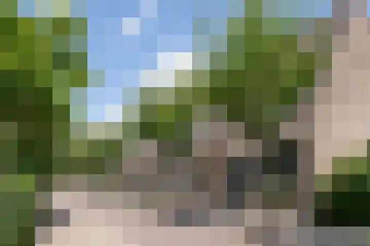 Lupineveld 12 Nieuwerkerk aan den IJssel thumbnail 27