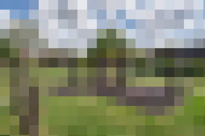 Lupineveld 12 Nieuwerkerk aan den IJssel thumbnail 28