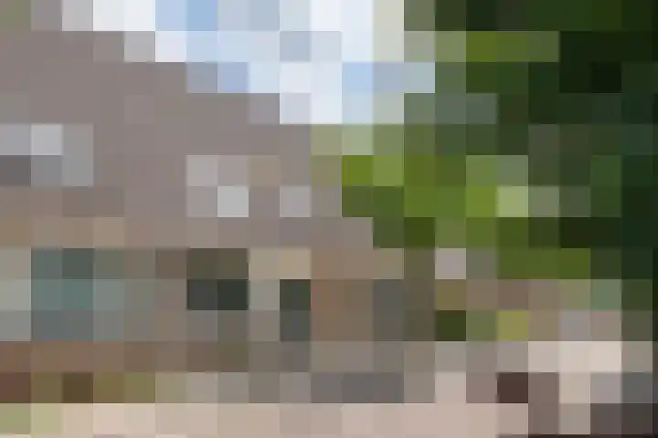 Lupineveld 12 Nieuwerkerk aan den IJssel thumbnail 33